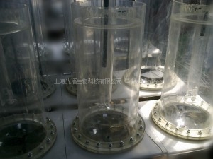 生物反應器設計