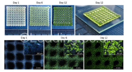 藻類細(xì)胞3d打印