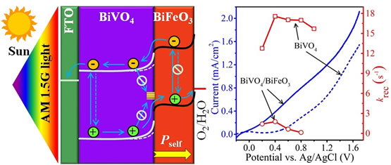 西南大學(xué)材料與能源學(xué)部李長明教授研究團(tuán)隊(duì)在鐵電性BiFeO3薄層促進(jìn)BiVO4光陽極光電化學(xué)水分解方面取得突破性進(jìn)展