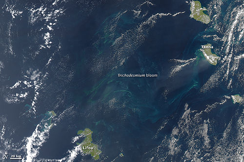 Trichodesmium erythraeum bloom, between Vanuatu and New Caledonia, SW Pacific Ocean