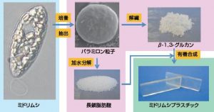 圖18. 日本產(chǎn)業(yè)技術(shù)綜合研究所、NEC公司與宮崎大學(xué)等單位聯(lián)合開(kāi)發(fā)了利用裸藻生產(chǎn)生物塑料的技術(shù)。