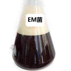 EM菌