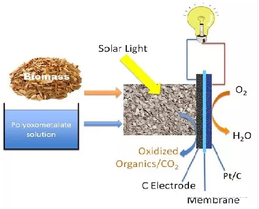 藻類生物質(zhì)燃料低溫電池示意圖