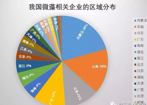 我國微藻企業(yè)及產(chǎn)業(yè)的最新分布概況