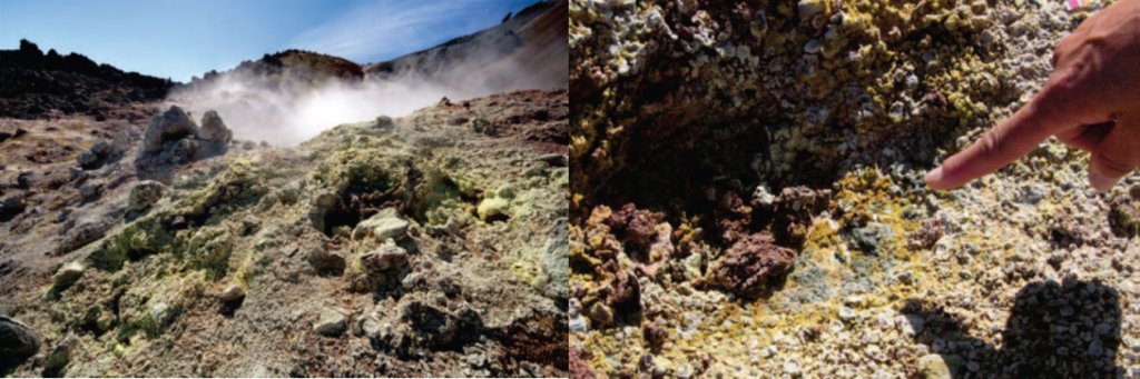 位于冰島東南部Hekla的Landmannalaugar（蘭德曼納勞卡高地），為歐洲著名的溫泉區(qū)域。該處分離得到的為G. sulphararia和G. maxima。